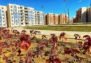 مدينة أكتوبر الجديدة  